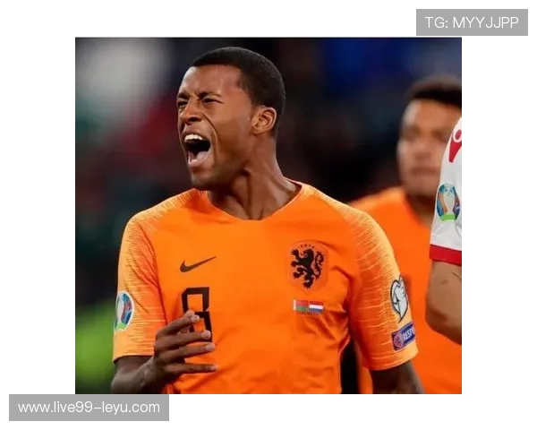 维纳尔杜姆：荷兰中场再展风采，领航球队新篇章