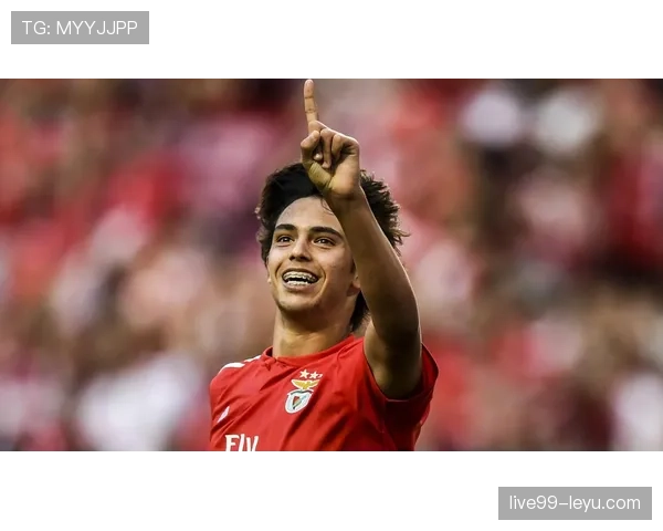 本菲卡阵容焕然一新：新星闪耀助力球队竞争力强势回升