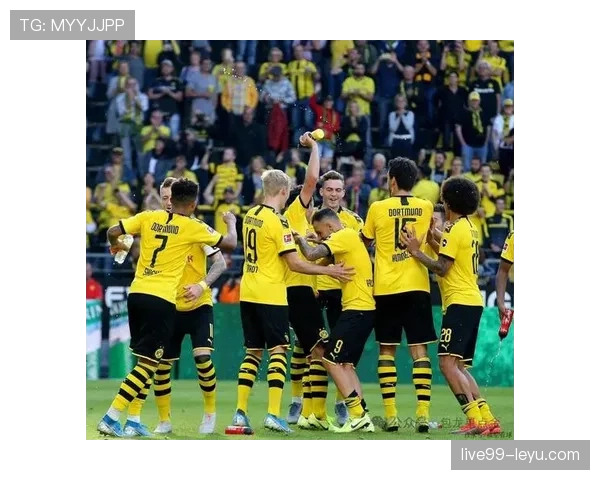 斯图加特逼抢体系本赛季表现稳健，高压策略成效显著