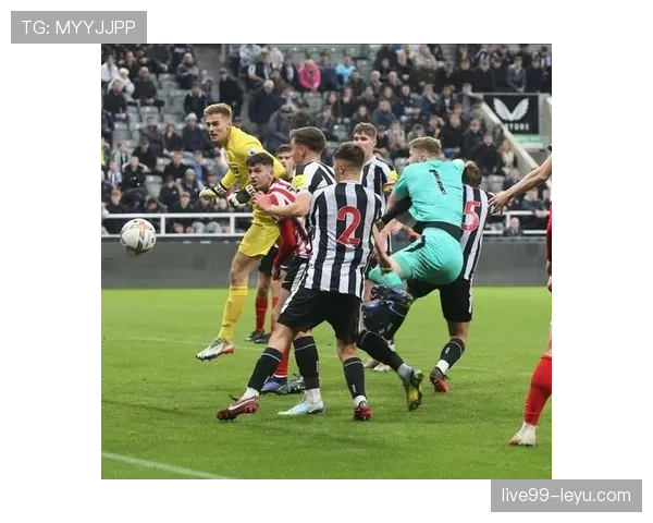 桑德兰新援名单公布，夏窗引援动向值得关注