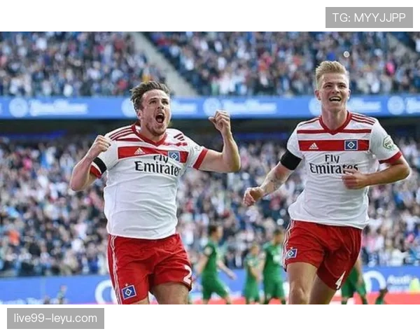 汉堡球队结构 汉堡球队结构